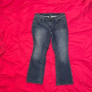 Lane Bryant Genius Fit Bootcut Jeans